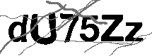 Loading CAPTCHA Image...